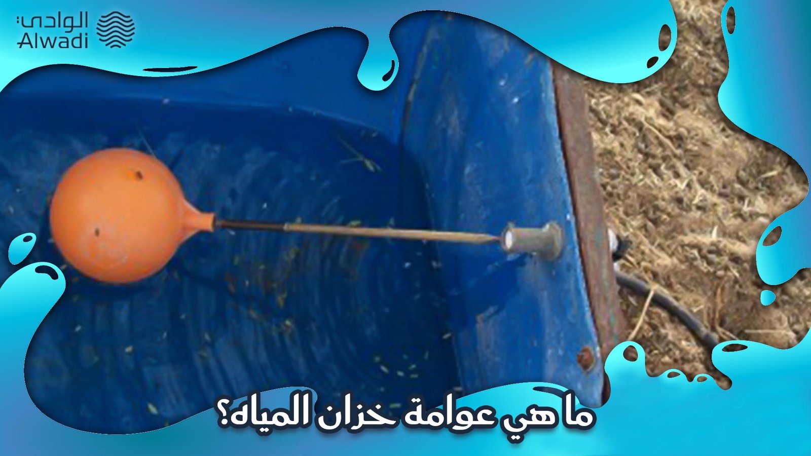 عوامة